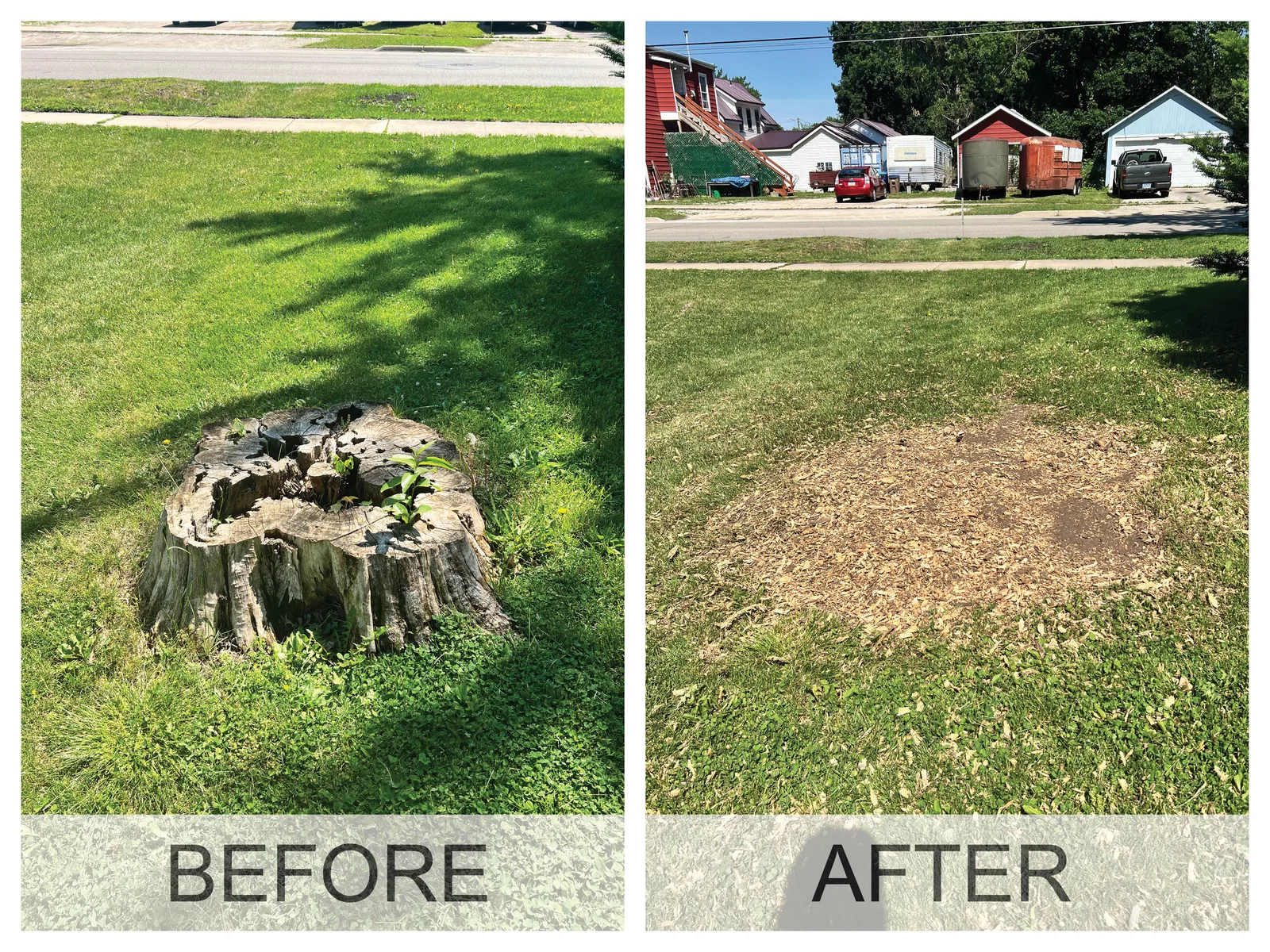Before and after a stump grinding job: the stump, then level ground