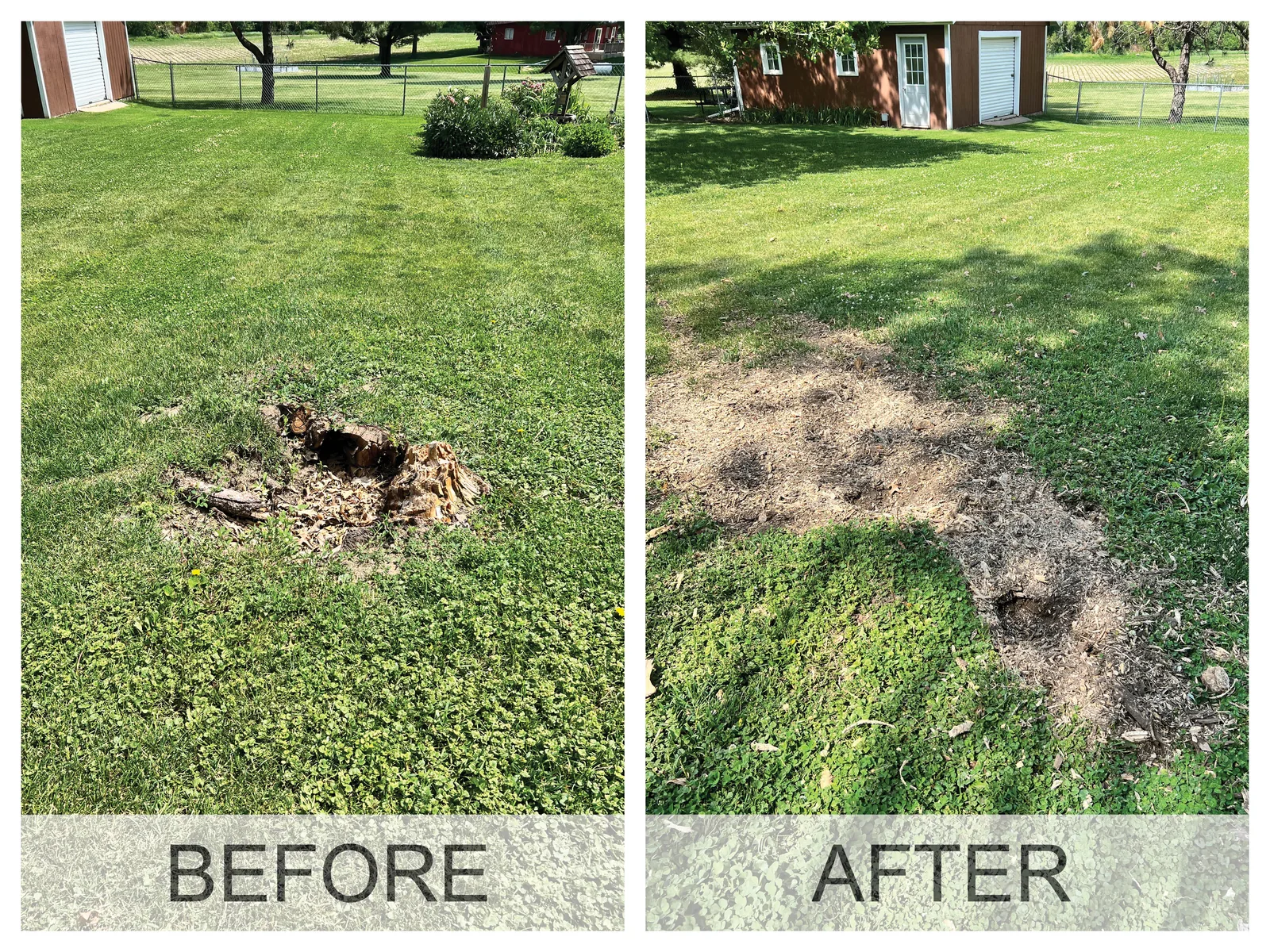 Before and after: a tree stump in an Iowa yard, then level ground with the wood chips raked out