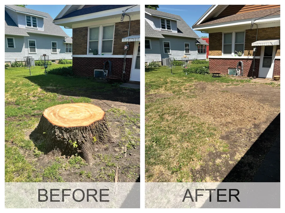 Before and after: a broad cut stump, then the same spot ground flat and raked