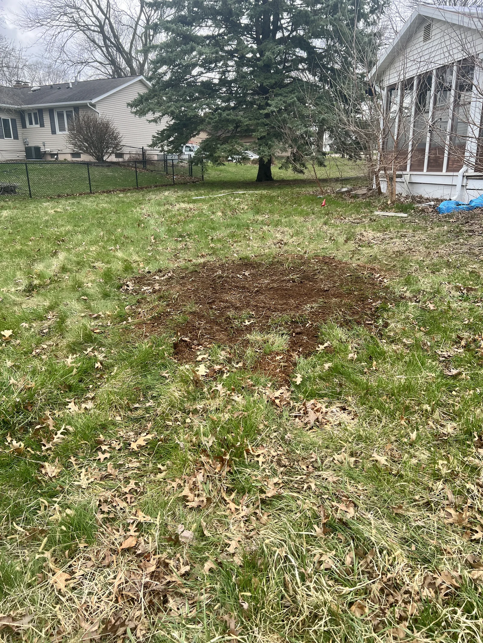 A Cedar Valley yard after stump grinding — the stump gone and the wood chips raked level