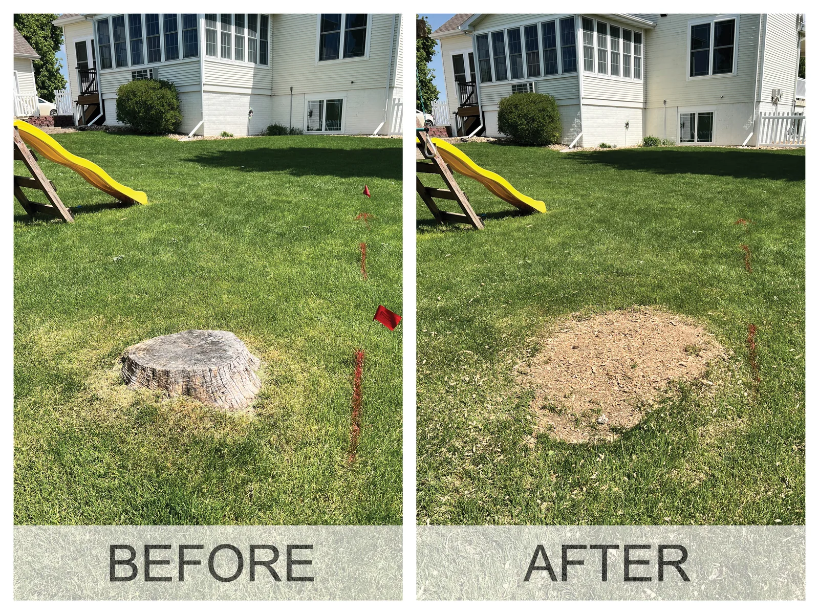 Before and after a stump grinding job in the Cedar Valley