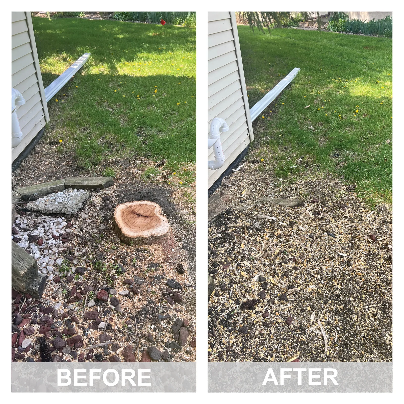 Before and after a stump grinding job in the Cedar Valley
