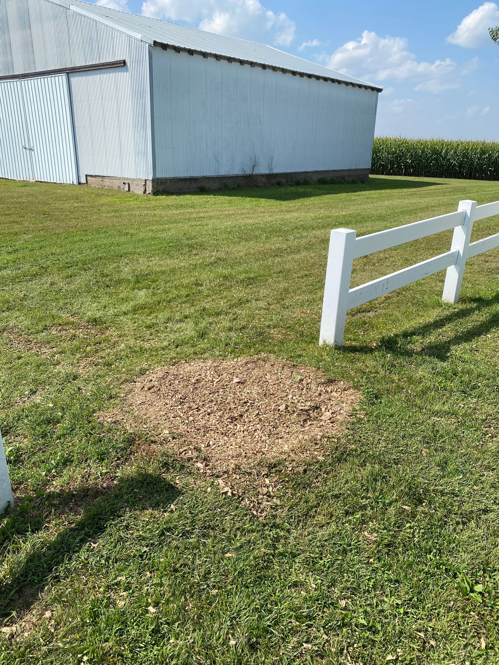 A Cedar Valley yard after stump grinding — the stump gone and the wood chips raked level