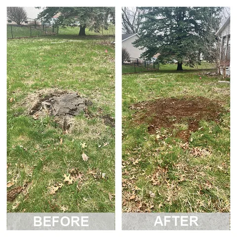 Before and after a stump grinding job in the Cedar Valley