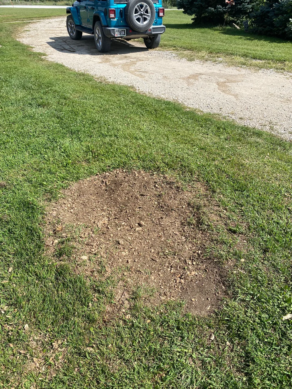 A ground-out stump patch beside a gravel driveway, vehicle parked at the top
