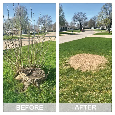 Before and after a stump grinding job in the Cedar Valley