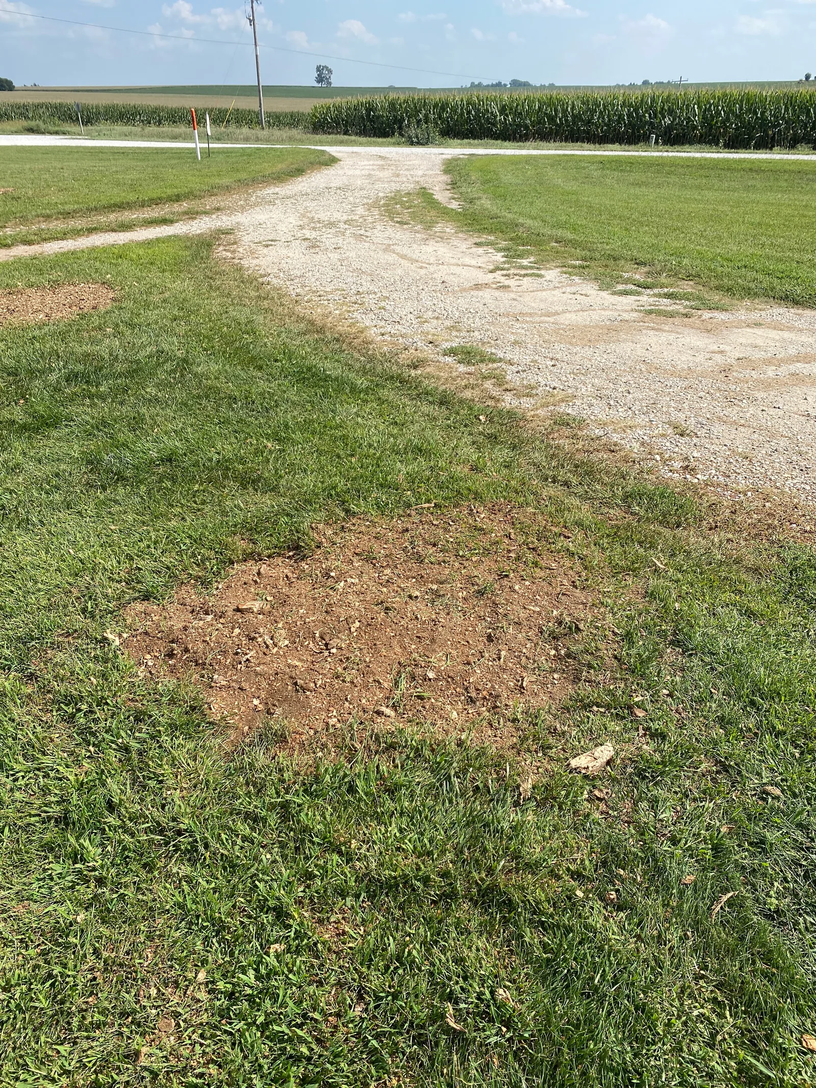 A Cedar Valley yard after stump grinding — the stump gone and the wood chips raked level