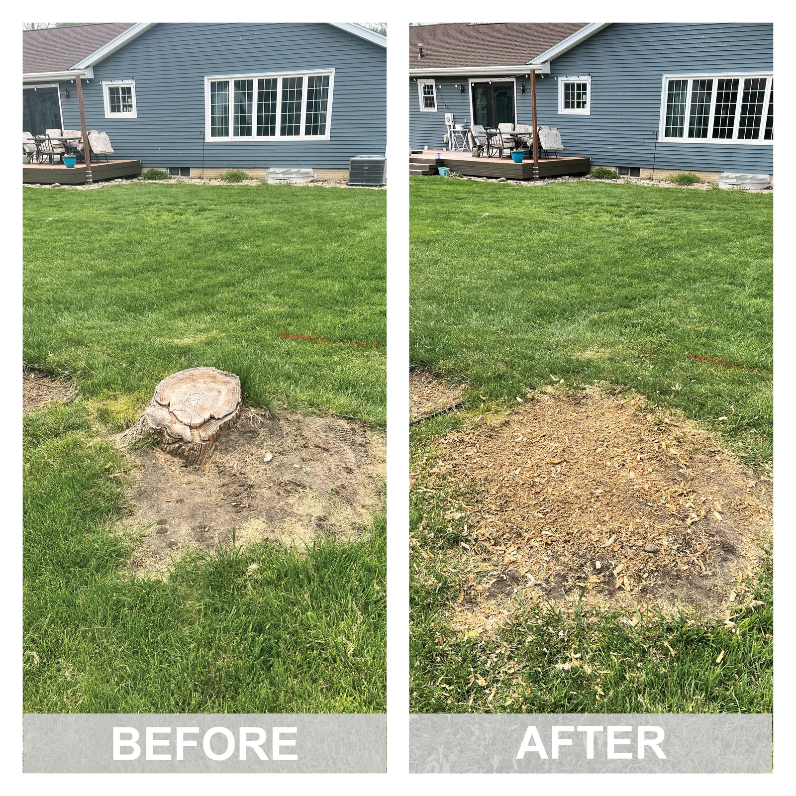 Before and after a stump grinding job in the Cedar Valley