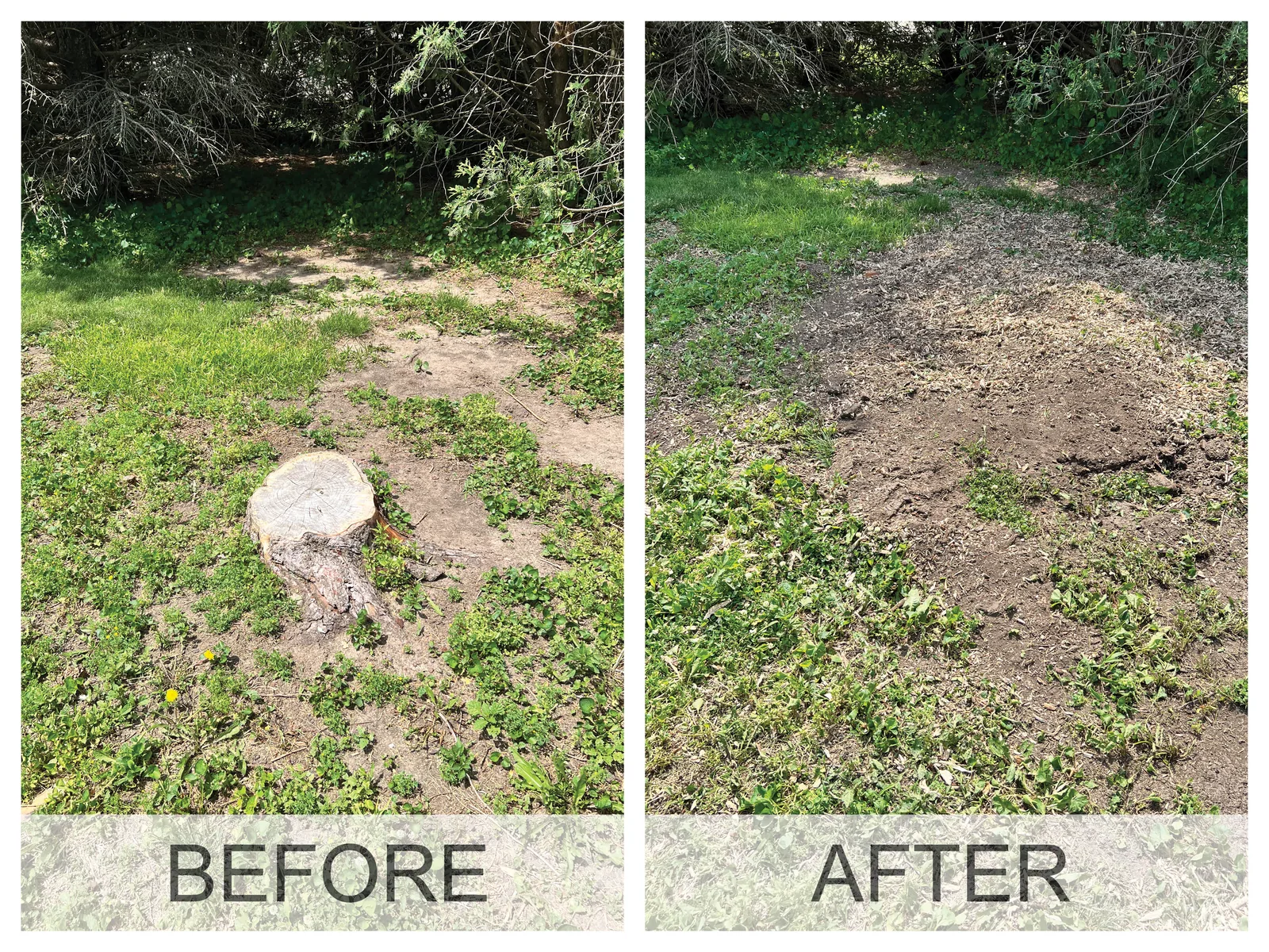 Before and after: a tree stump in an Iowa yard, then level ground with the wood chips raked out