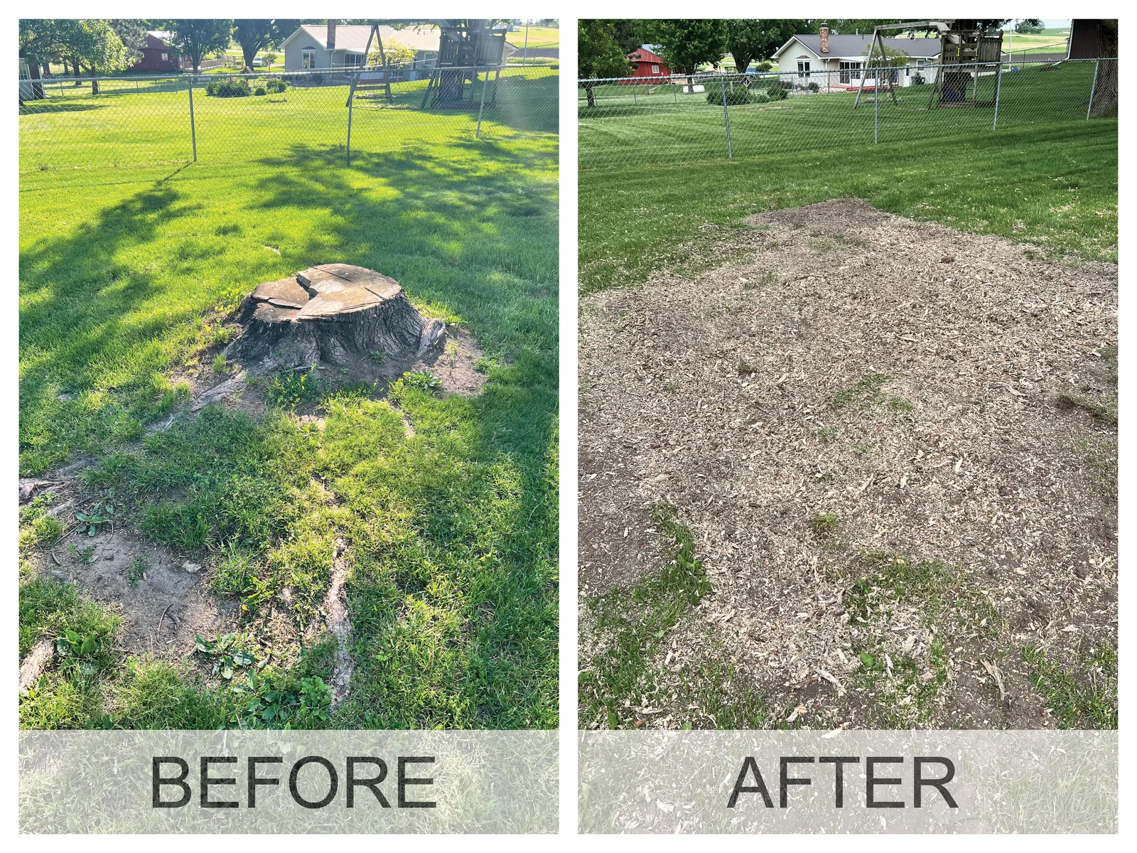 Before and after: a tree stump in an Iowa yard, then level ground with the wood chips raked out