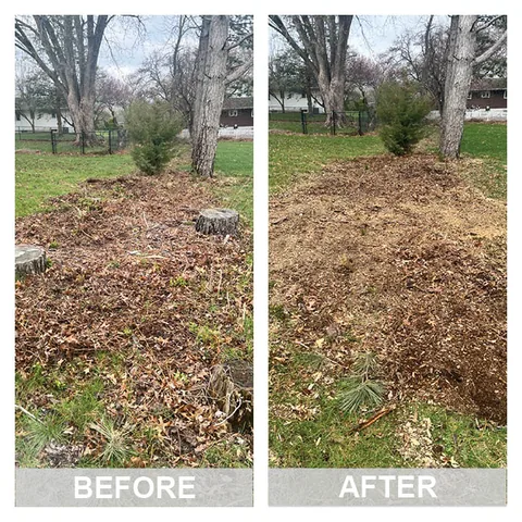 Before and after: a tree stump in an Iowa yard, then level ground with the wood chips raked out