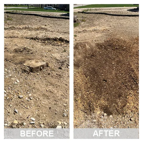 Before and after: a tree stump in an Iowa yard, then level ground with the wood chips raked out