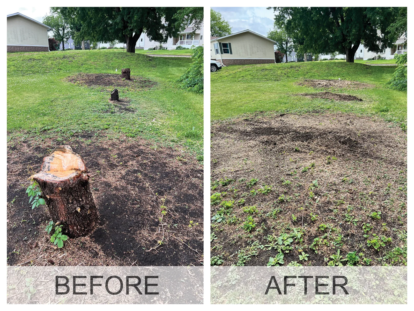 Before and after: a tree stump in an Iowa yard, then level ground with the wood chips raked out