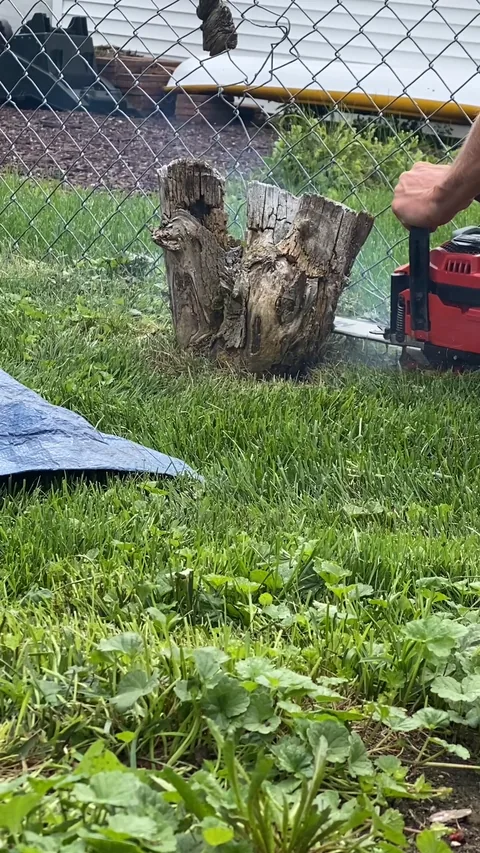 Still from a Grounds Crew stump grinding video (28 seconds)