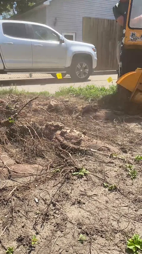 Still from a Grounds Crew stump grinding video (31 seconds)