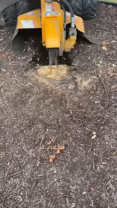 Still from a Grounds Crew stump grinding video (31 seconds)