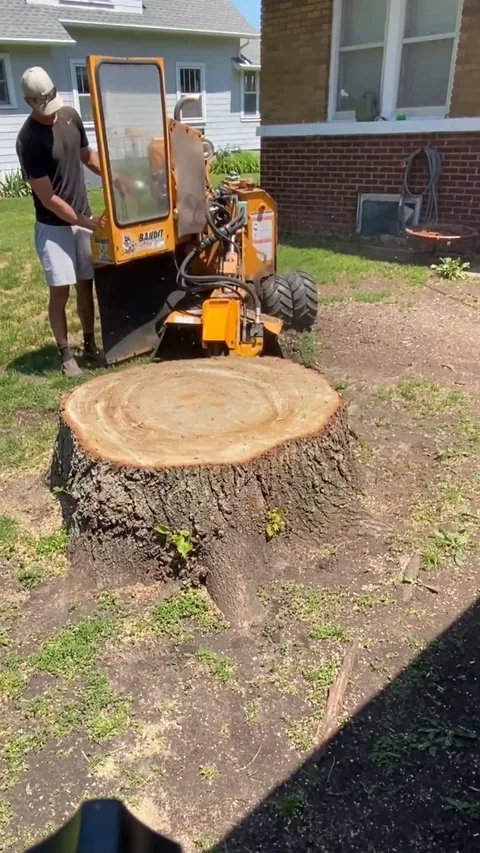 Still from a Grounds Crew stump grinding video (25 seconds)