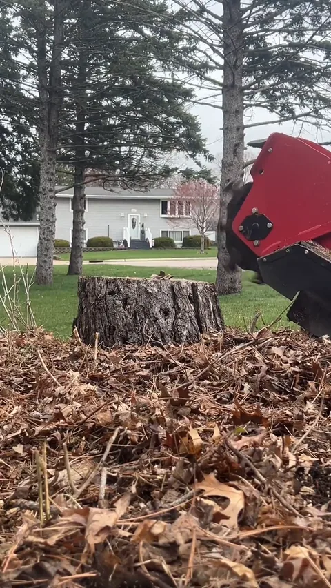 Still from a Grounds Crew stump grinding video (54 seconds)