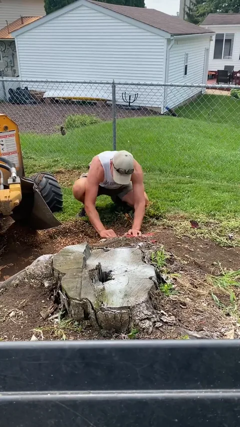Still from a Grounds Crew stump grinding video (34 seconds)