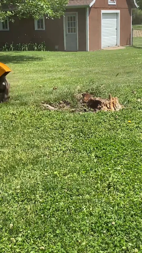 Still from a Grounds Crew stump grinding video (31 seconds)