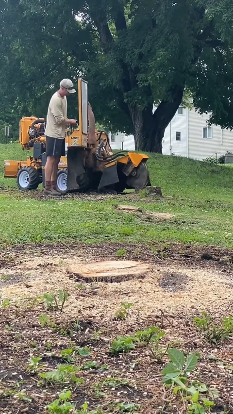 Still from a Grounds Crew stump grinding video (37 seconds)
