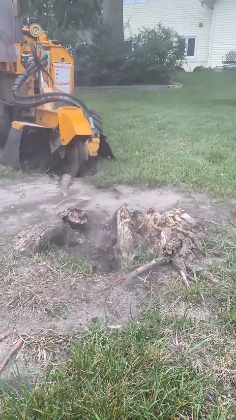Still from a Grounds Crew stump grinding video (29 seconds)