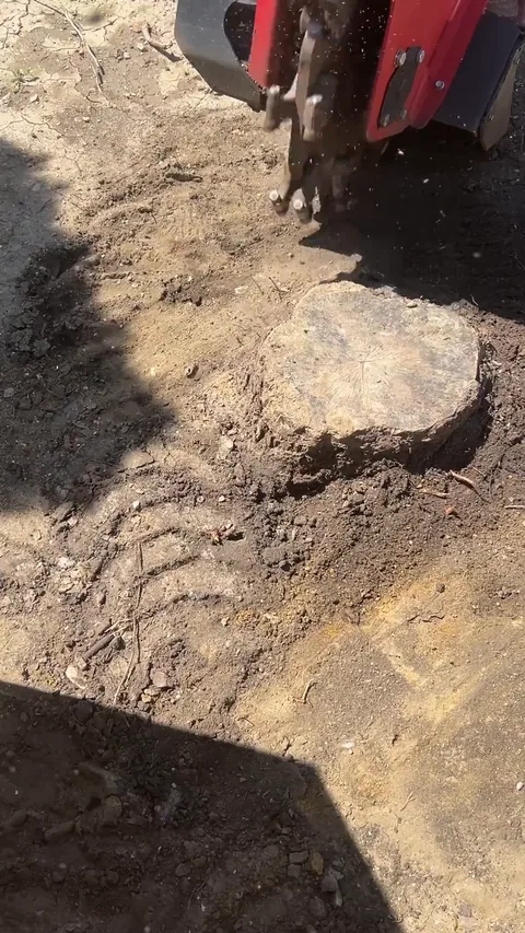 Still from a Grounds Crew stump grinding video (53 seconds)