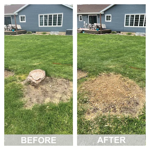 Stump grinding job photo from Abby Brekke's review